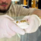 Bottom 8 Set Plain | Canines Iced