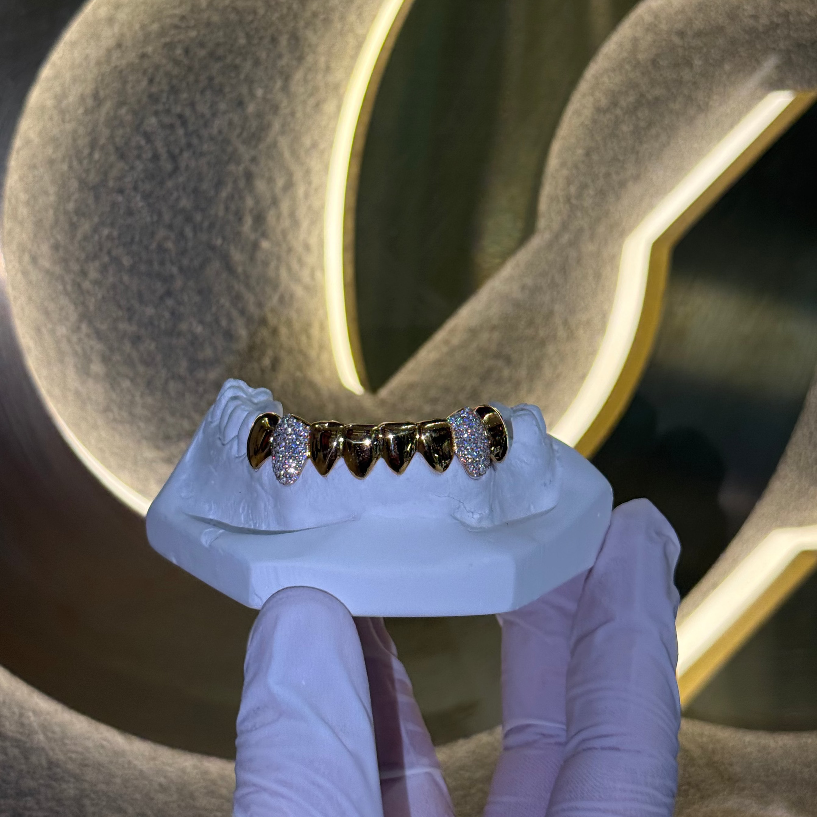 Bottom 8 Set Plain | Canines Iced