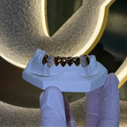 Bottom 8 Set Plain | Canines Iced