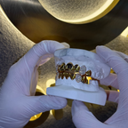 16 Plain Set | 4 Canines Iced Out