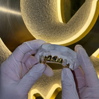 Top 8 Set Plain | Canine Iced