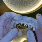 Top 8 Set Plain | Canine Iced