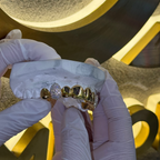 Top 8 Set Plain | Canine Iced