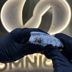 Canine | Incisor Set