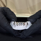 Bottom 8 Set Plain | Canines Iced