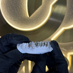 Bottom 8 Set Plain | Canines Iced