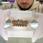 Perm Cut Plain Grillz